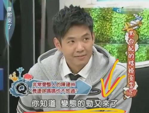 陈建州爆料了什么事件视频,视频揭露惊人真相  第3张